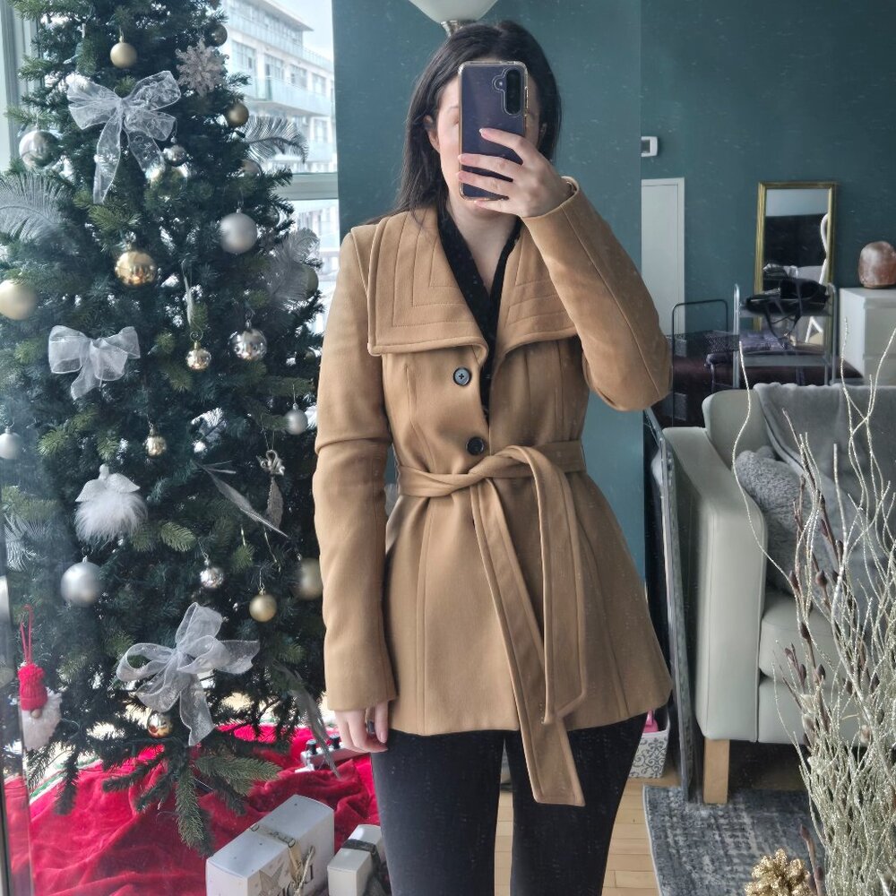 Aritzia Wool Coat